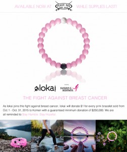 2015_BCALokai_Flyer